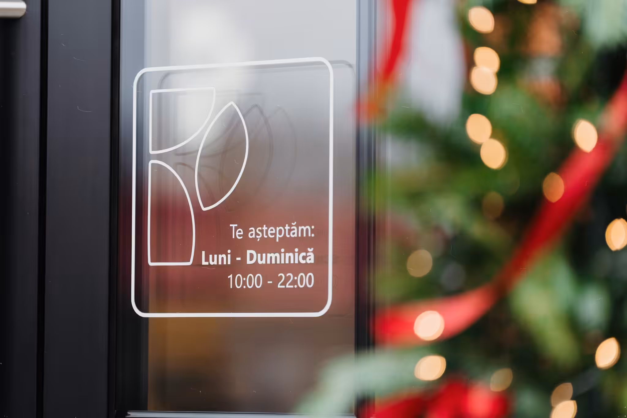 casa petrina restaurant targu mures 5