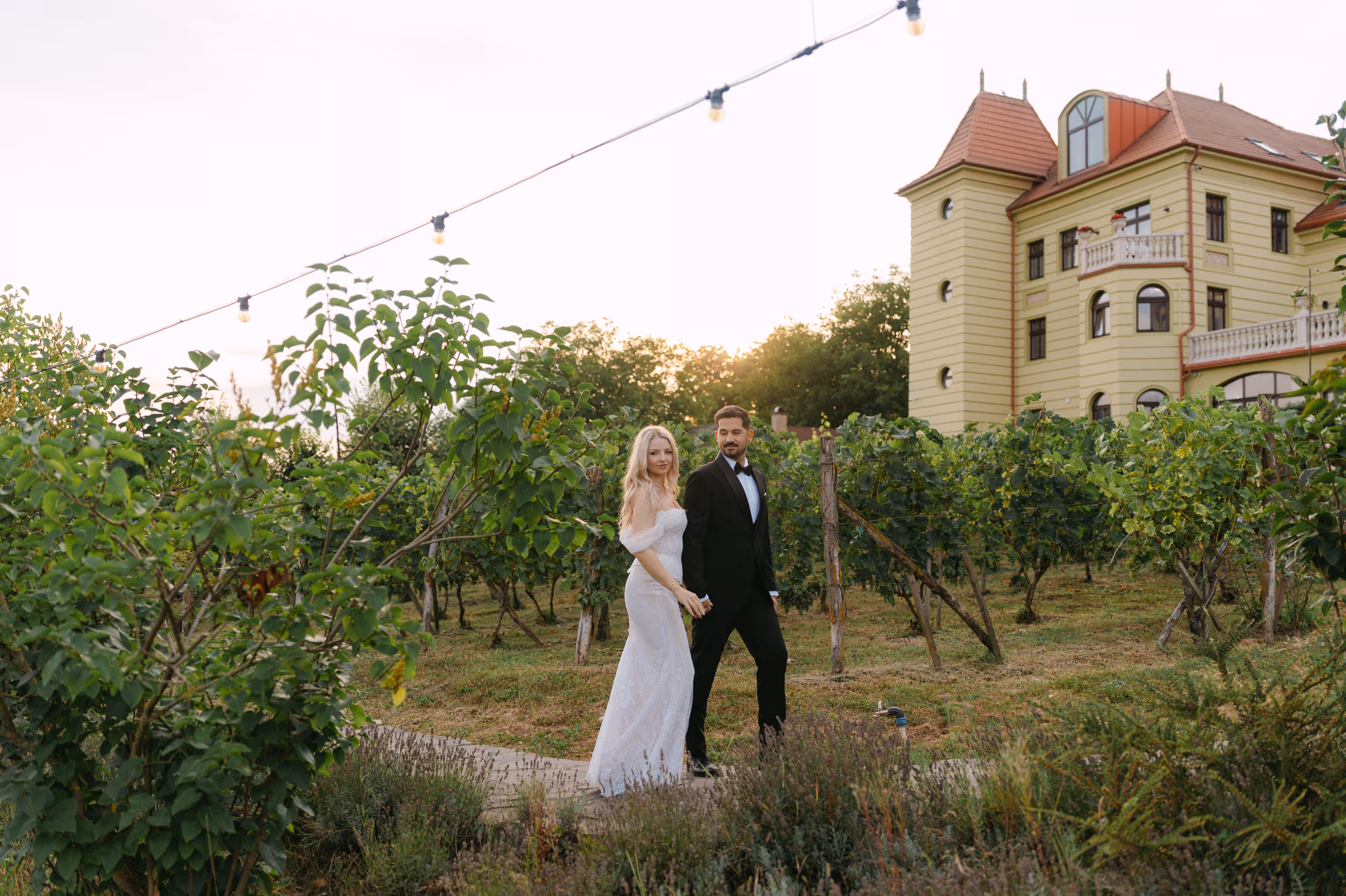 Cuplu fericit plimbare romantică prin podgorie Mureș