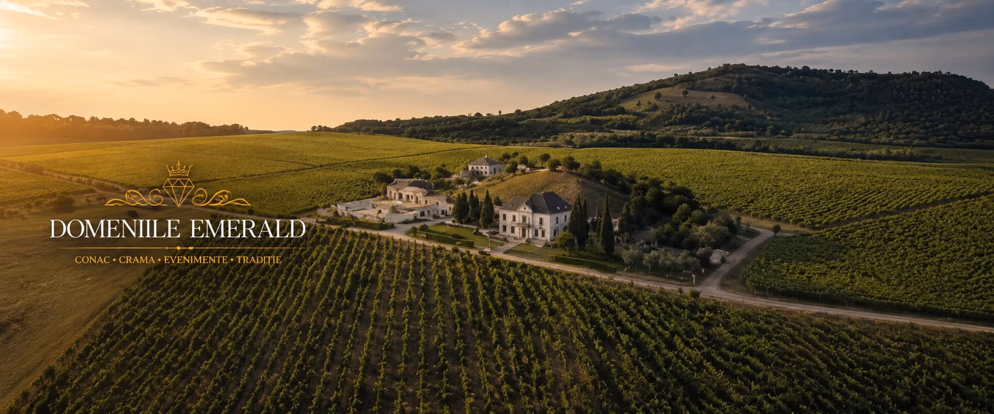 Panoramă cu conacul și crama Domeniilor Emerald, printre rânduri de vie, Culpiu