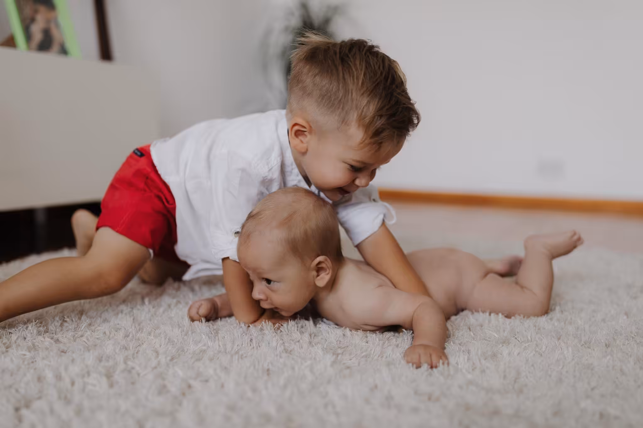 fotograf familie targu mures botez servicii foto 13