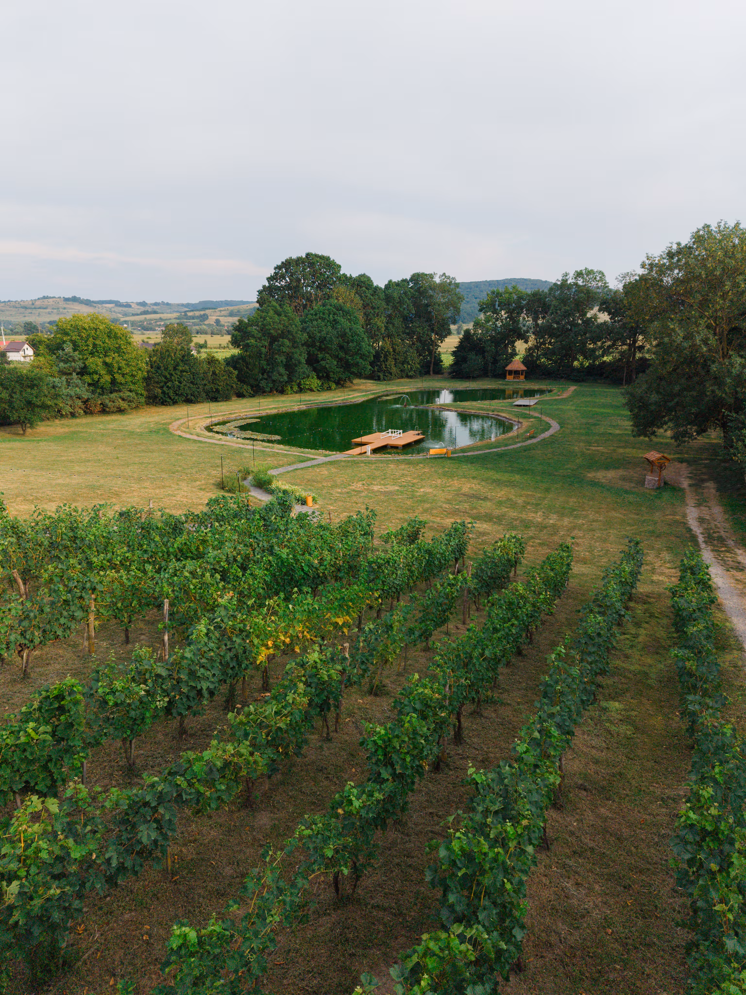 Fotografie dronă domeniu istoric Petry Estate Călimănești