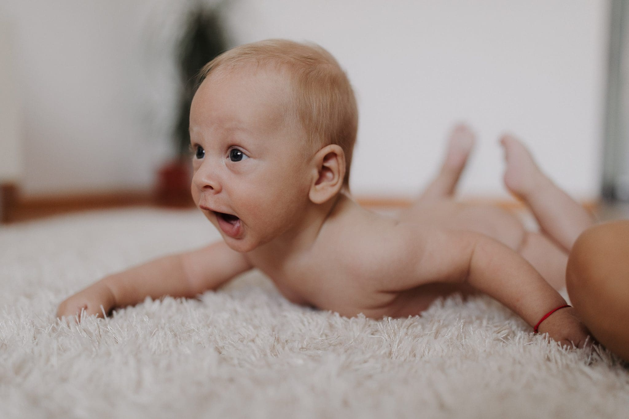 fotograf familie targu mures botez servicii foto 12