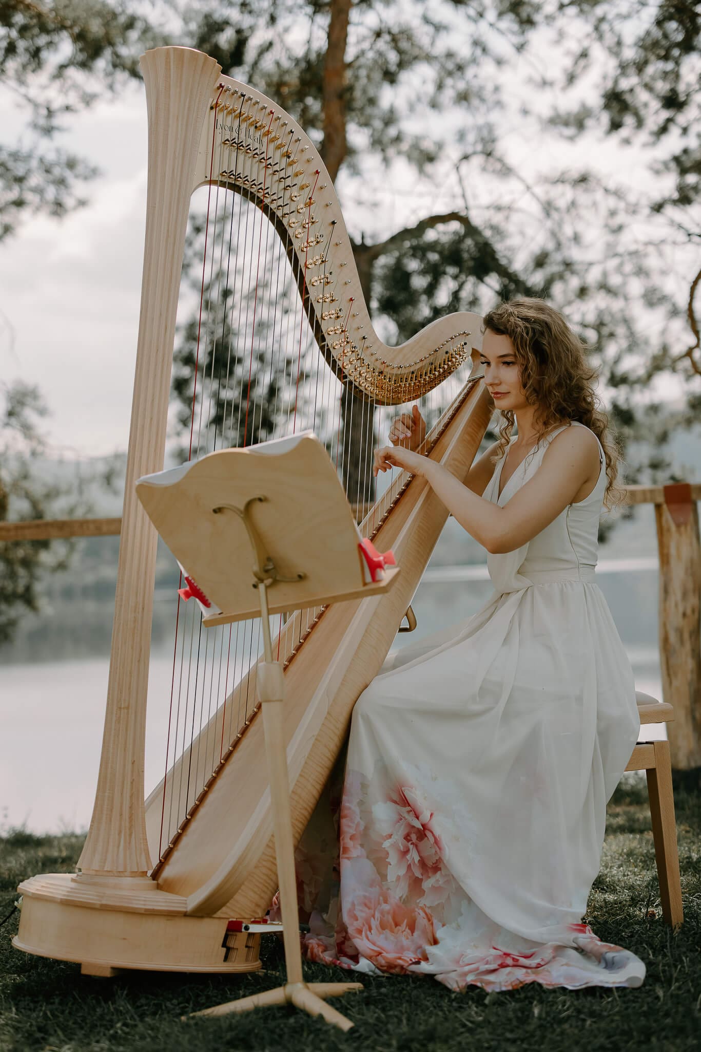 harpa nunta muzica ambientala nunta