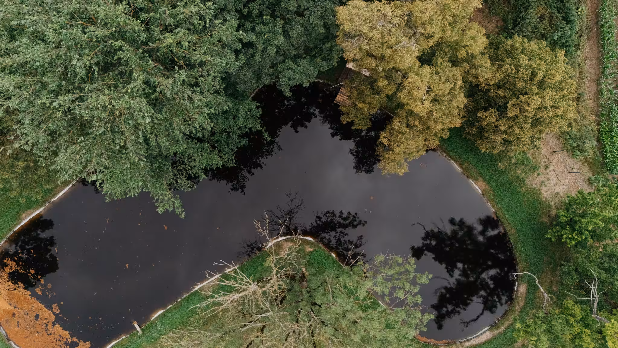 Locatie Nunta Aer Liber Mures Castelul Bethlen Bahnea