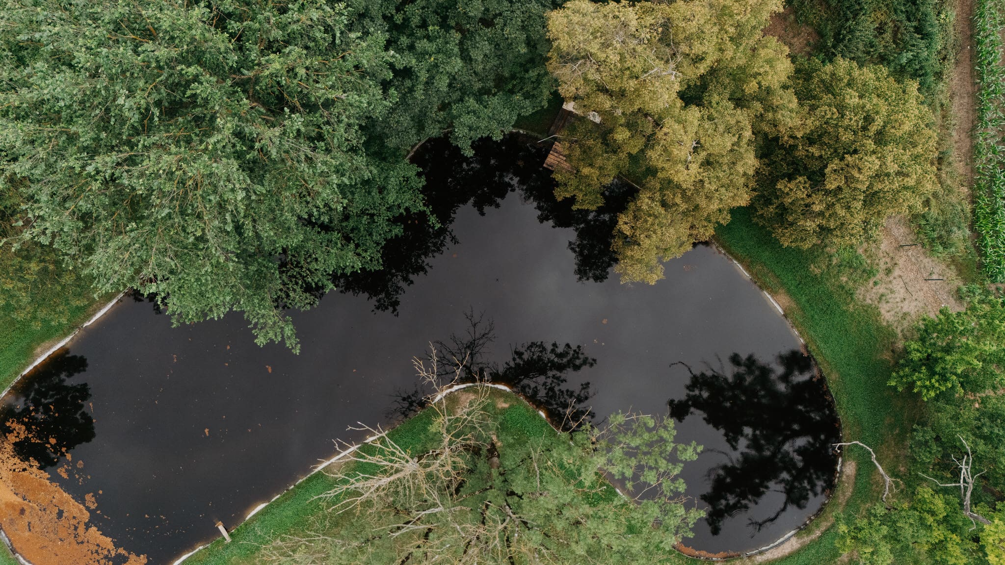 Castelul Bethlen, Bahnea Mureș - Locație nuntă 9 Locatie Nunta Aer Liber Mures Castelul Bethlen Bahnea 5