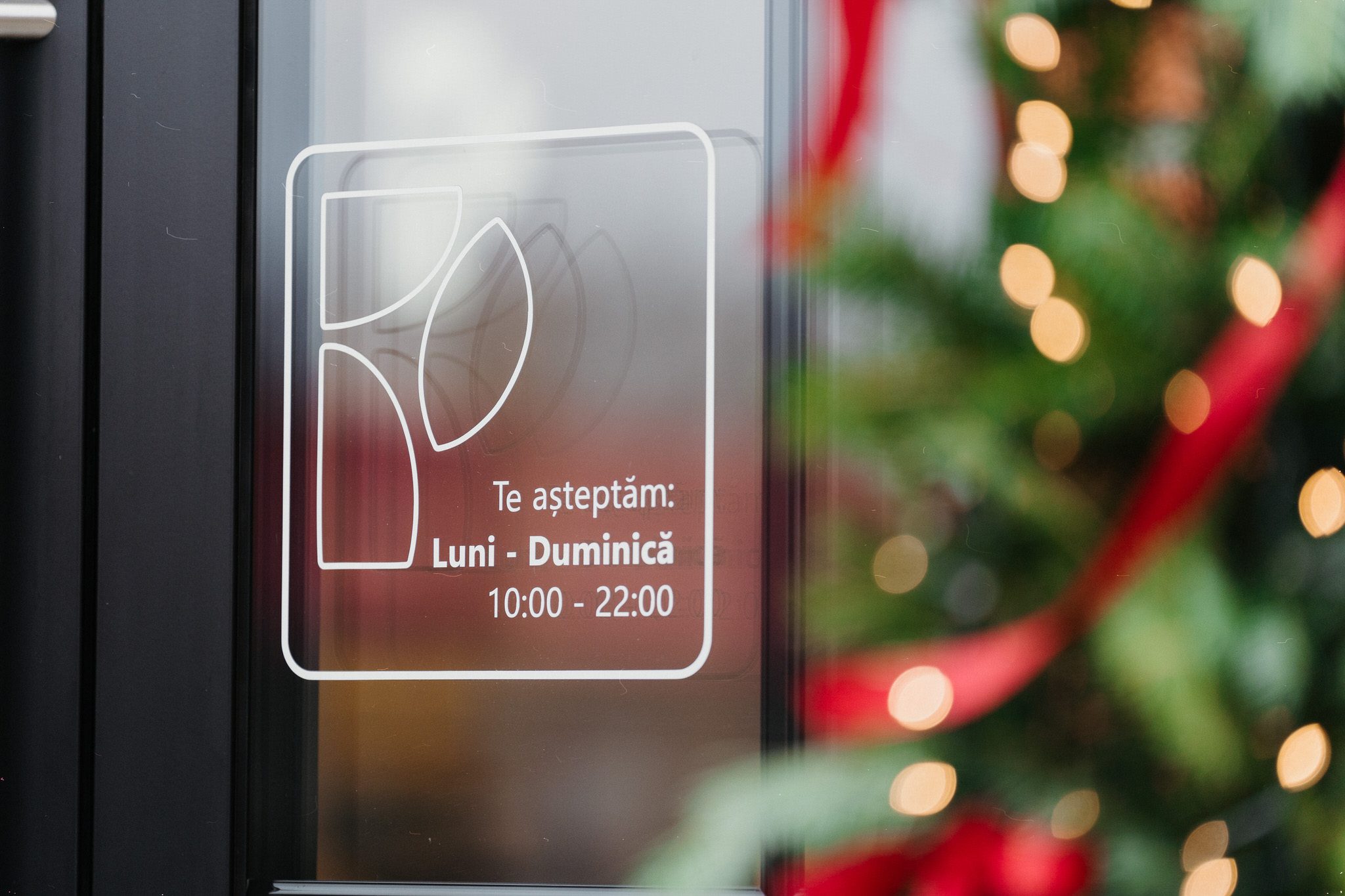 casa petrina restaurant targu mures 5