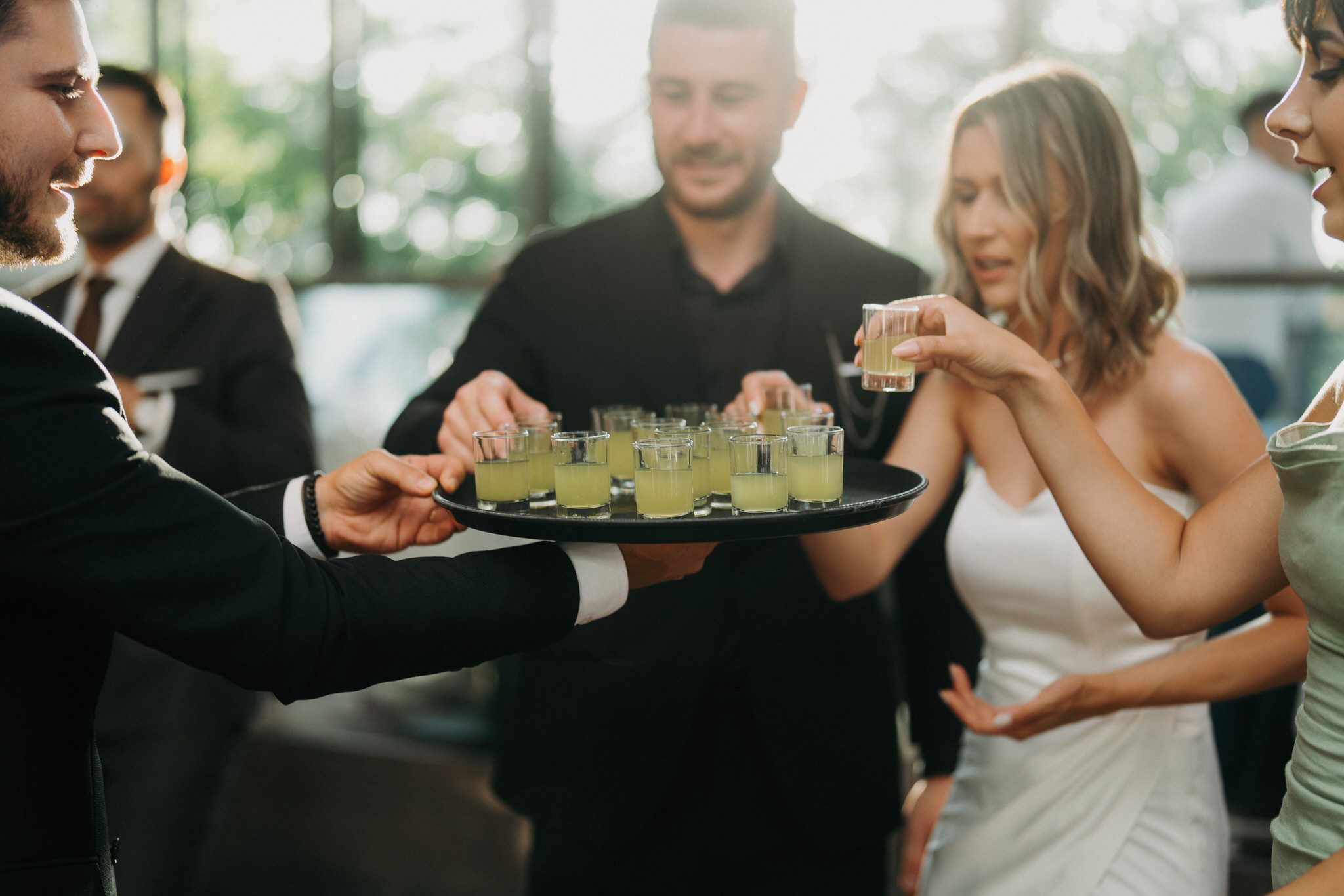 fotografii nunta petrecere hotel privo targu mures 1