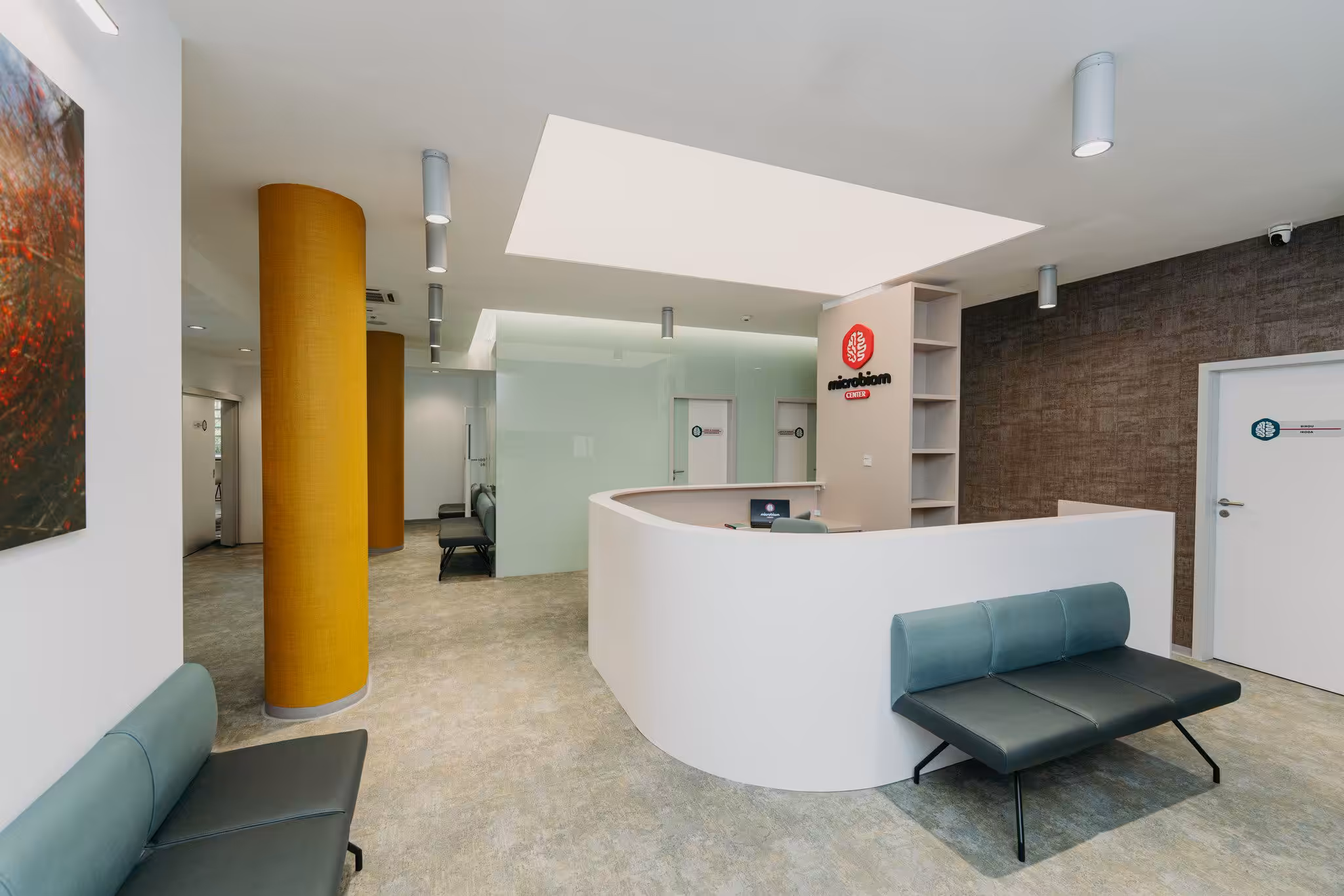 Servicii fotografie corporate cluj bucuresti mures
